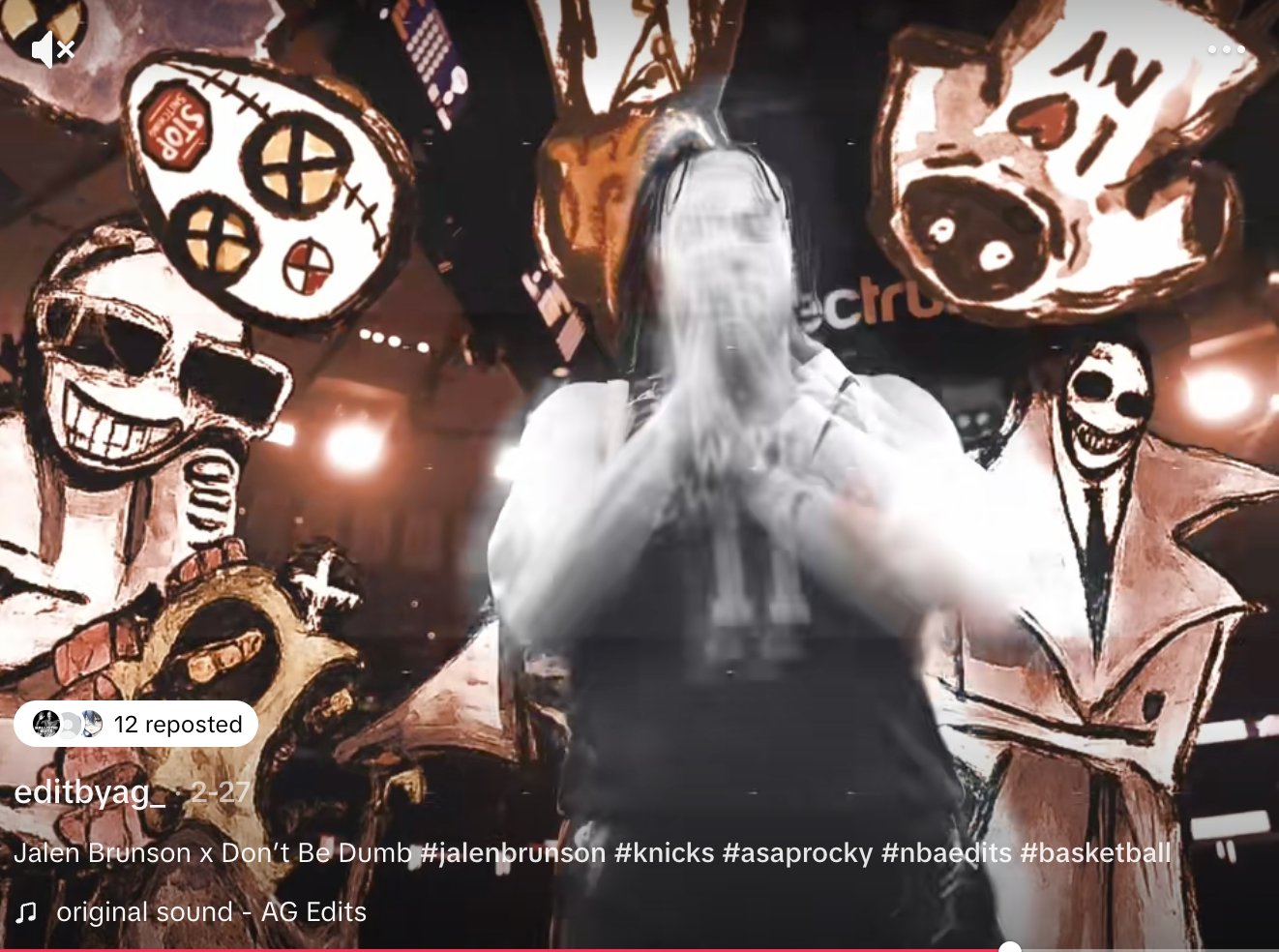 Jalen Brunson x Don't Be Dumb